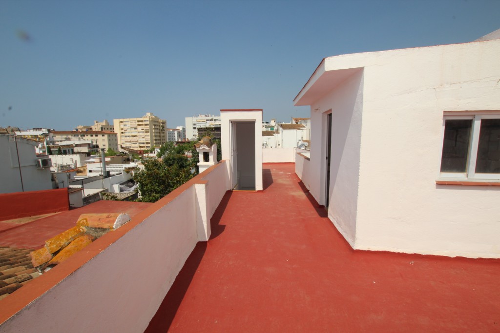 246146.jpg