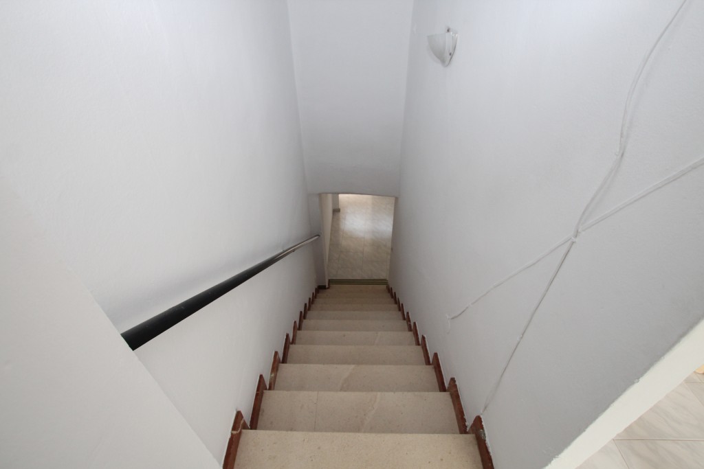 246156.jpg
