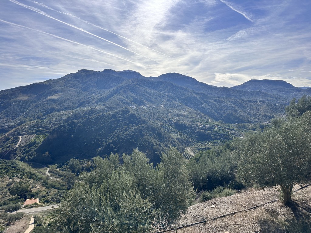 242252.jpg