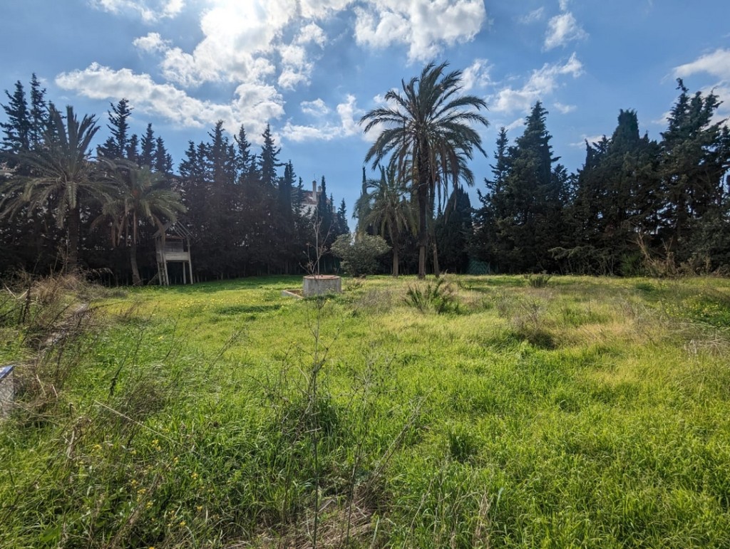 244041.jpg
