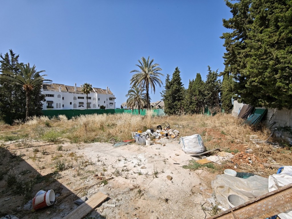 244042.jpg