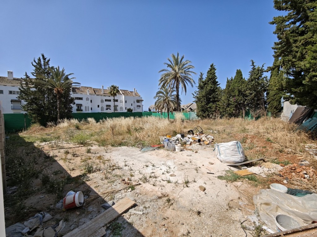 244043.jpg