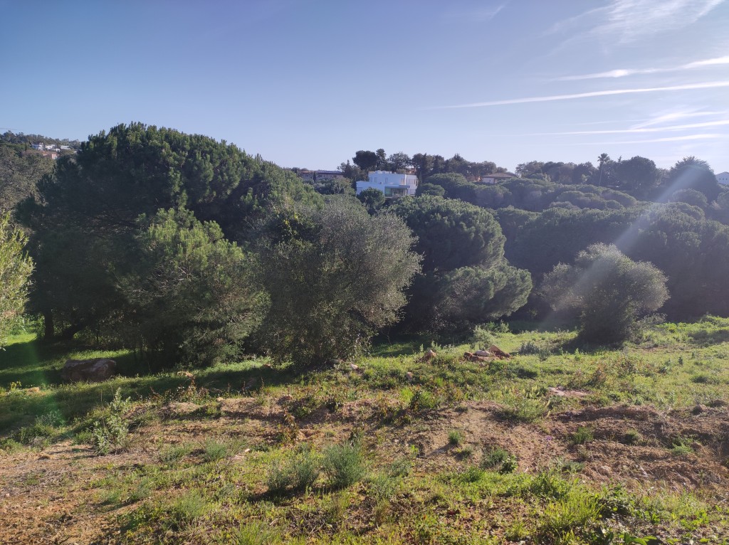 Land Sotogrande Alto € 390.000,-