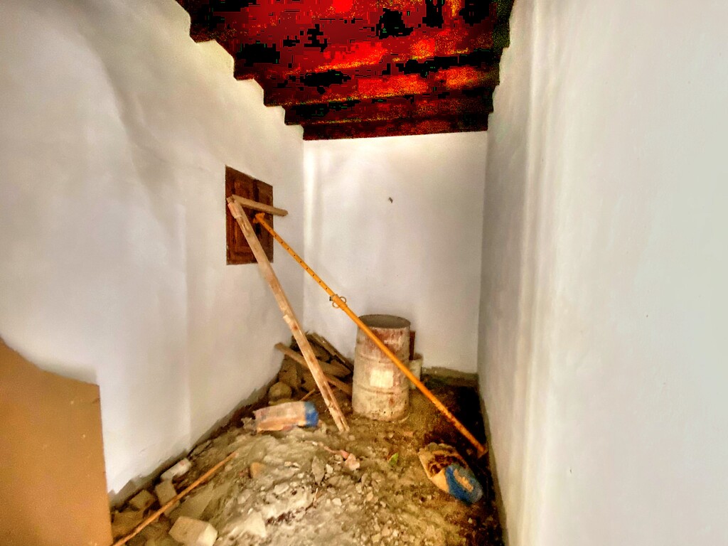 260367.jpg