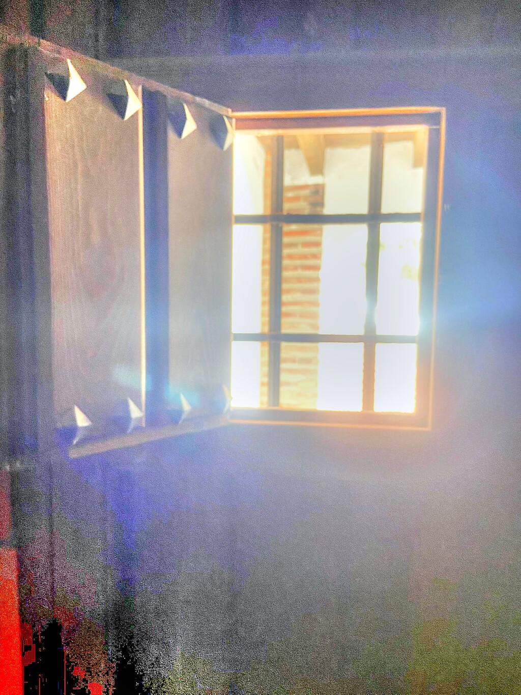 260381.jpg
