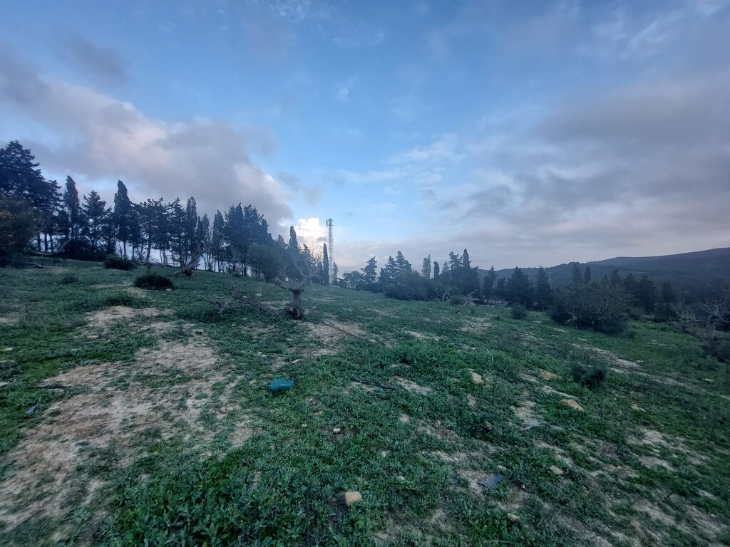 271177.jpg