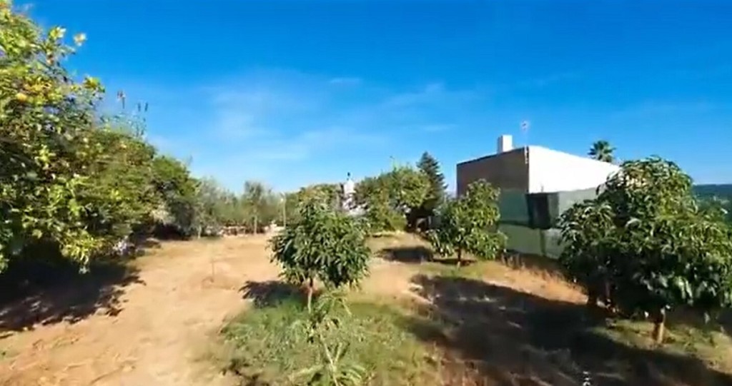 241664.jpg