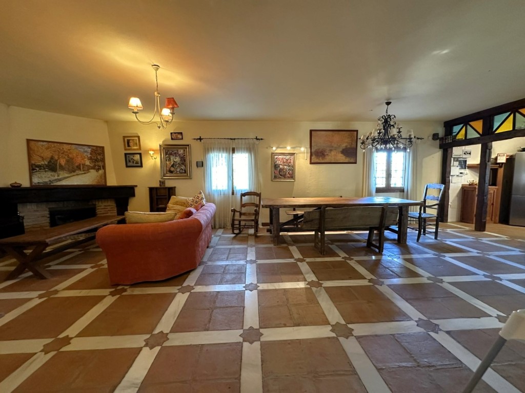 288543.jpg