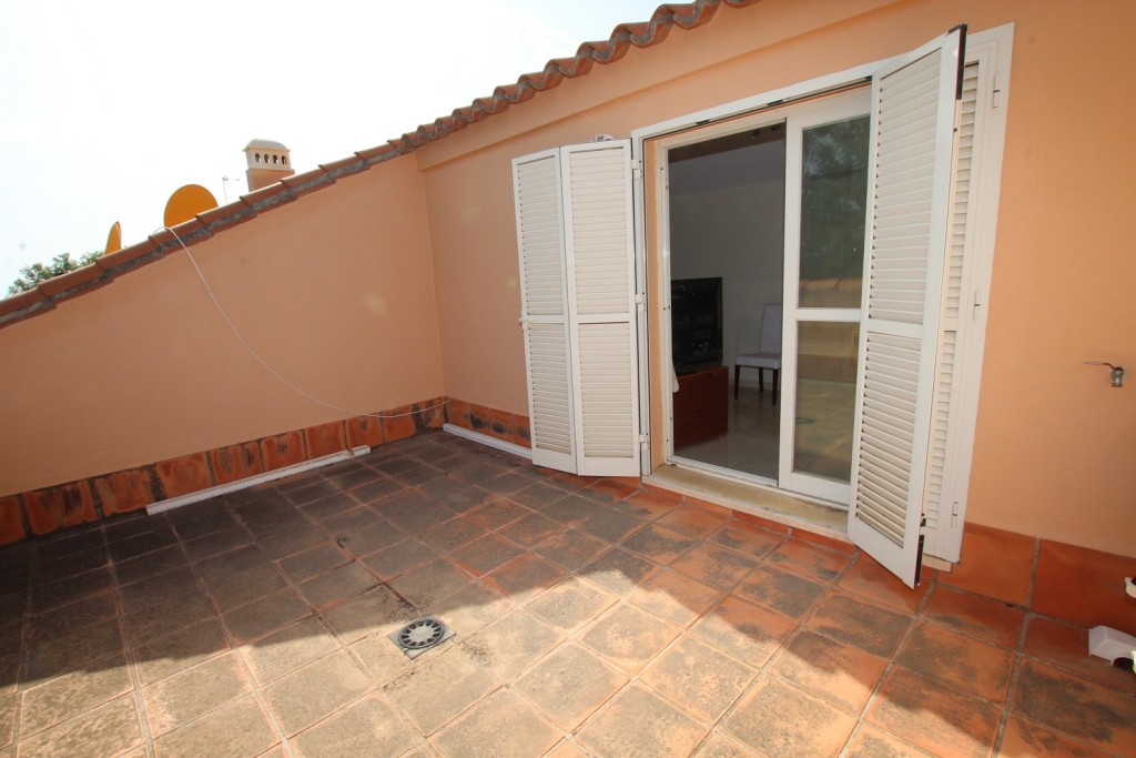 296510.jpg