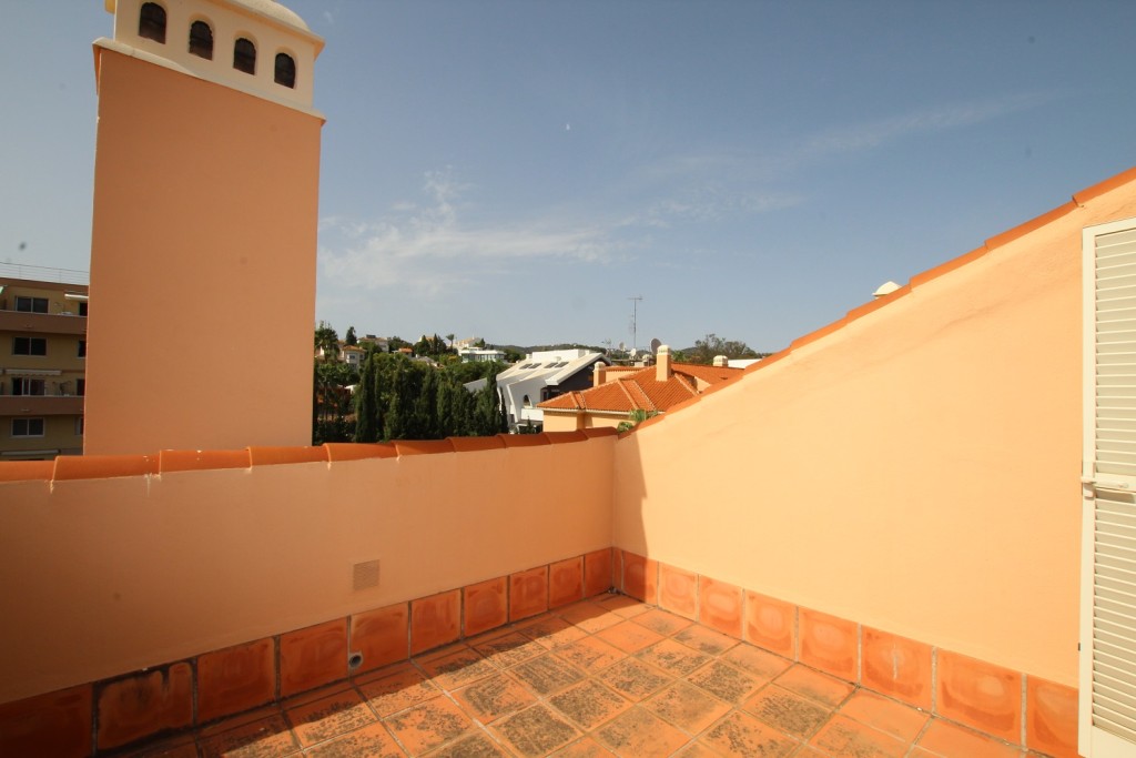 296511.jpg
