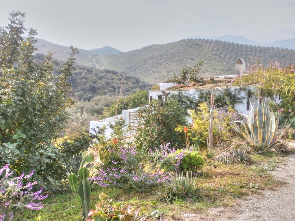 Landhuis Villanueva de la Concepción € 325.000,-