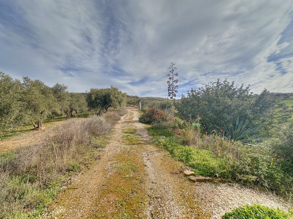Landhuis Villanueva de la Concepción € 325.000,-