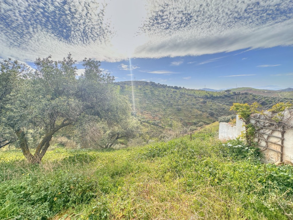 Landhuis Villanueva de la Concepción € 325.000,-