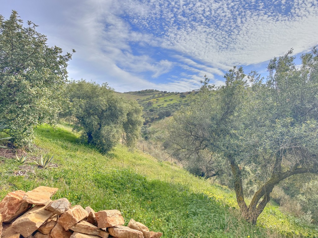 Landhuis Villanueva de la Concepción € 325.000,-