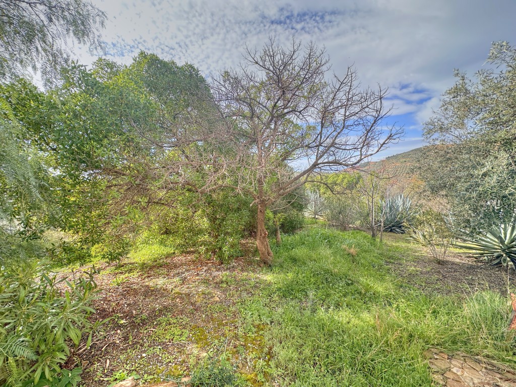 Landhuis Villanueva de la Concepción € 325.000,-