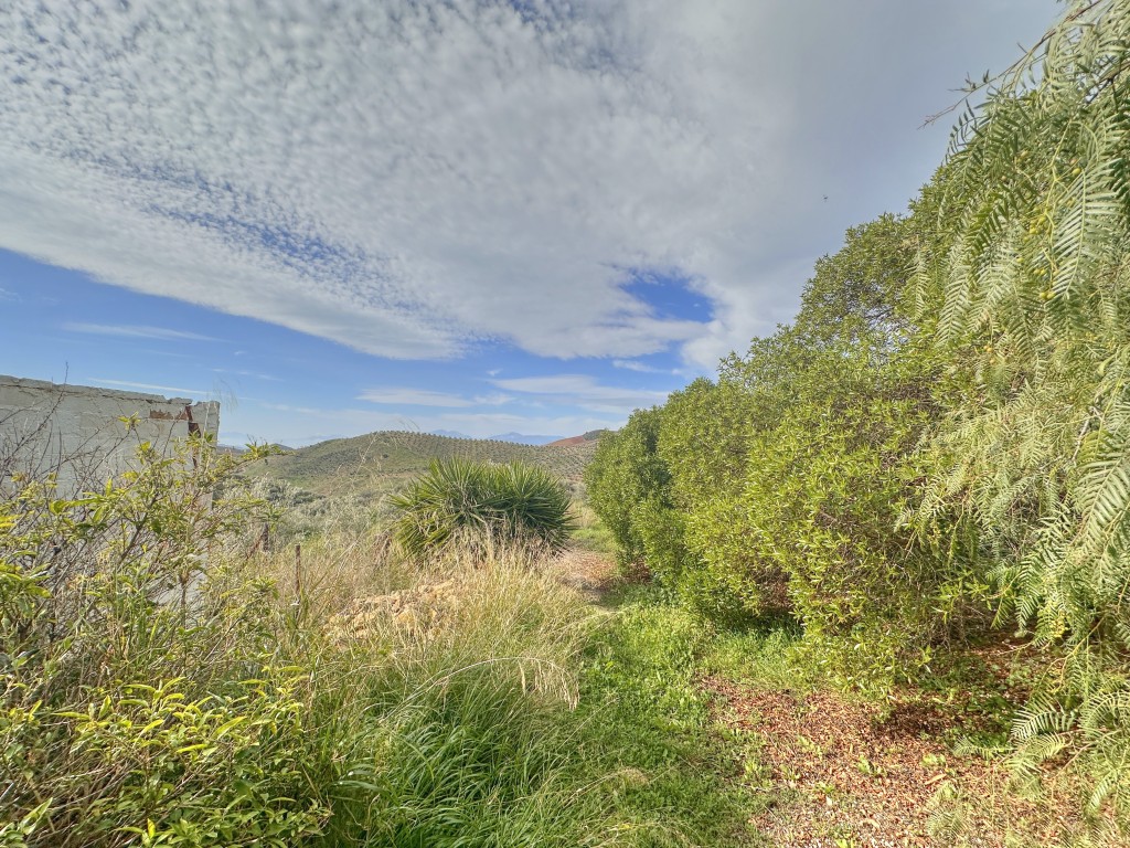 Landhuis Villanueva de la Concepción € 325.000,-