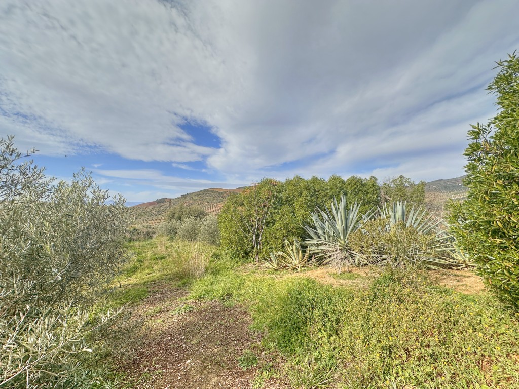 Landhuis Villanueva de la Concepción € 325.000,-