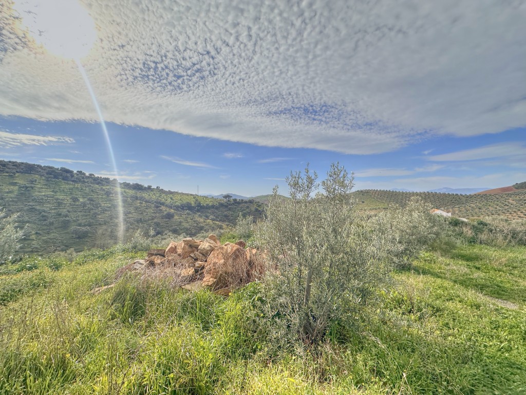 Landhuis Villanueva de la Concepción € 325.000,-