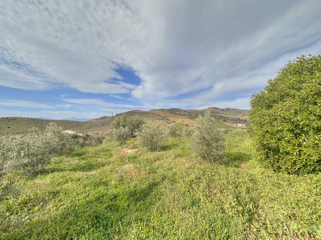 Landhuis Villanueva de la Concepción € 325.000,-