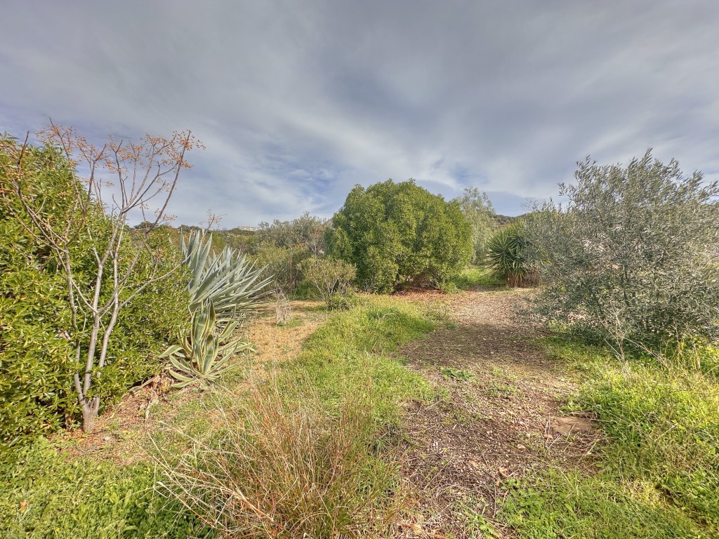 Landhuis Villanueva de la Concepción € 325.000,-