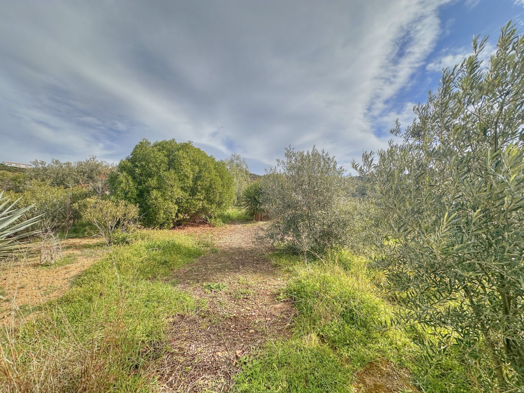 Landhuis Villanueva de la Concepción € 325.000,-