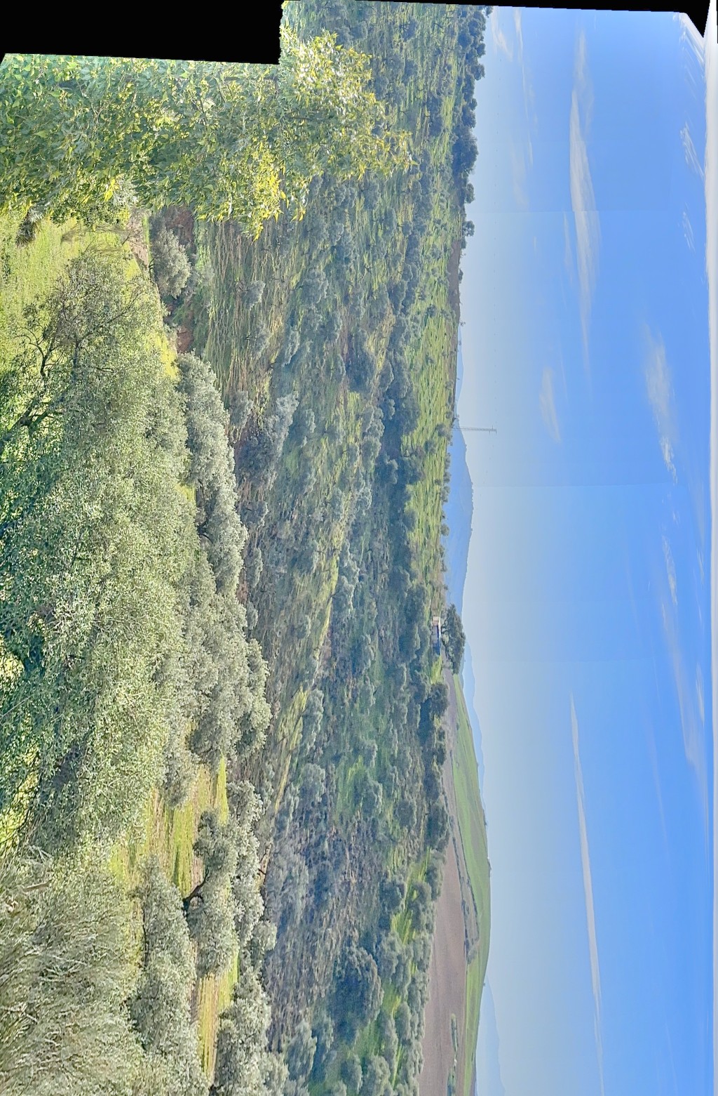 Landhuis Villanueva de la Concepción € 325.000,-
