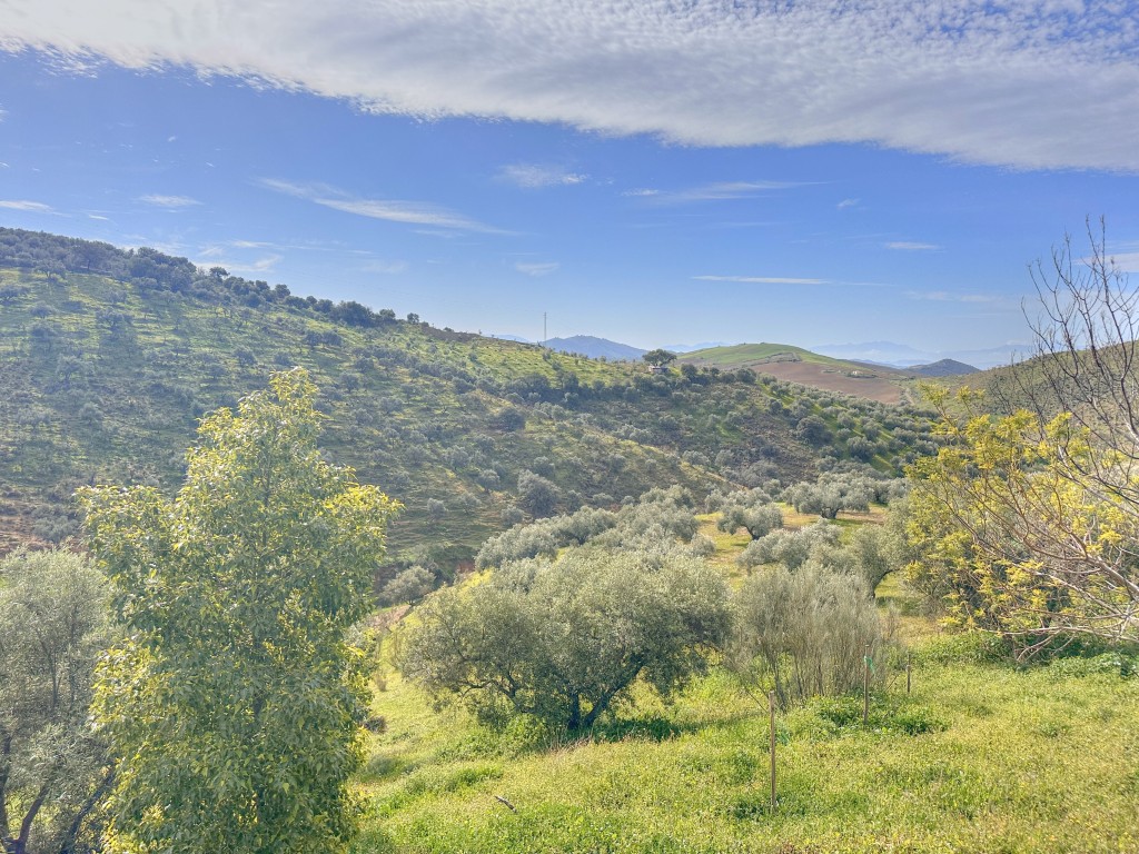 Landhuis Villanueva de la Concepción € 325.000,-