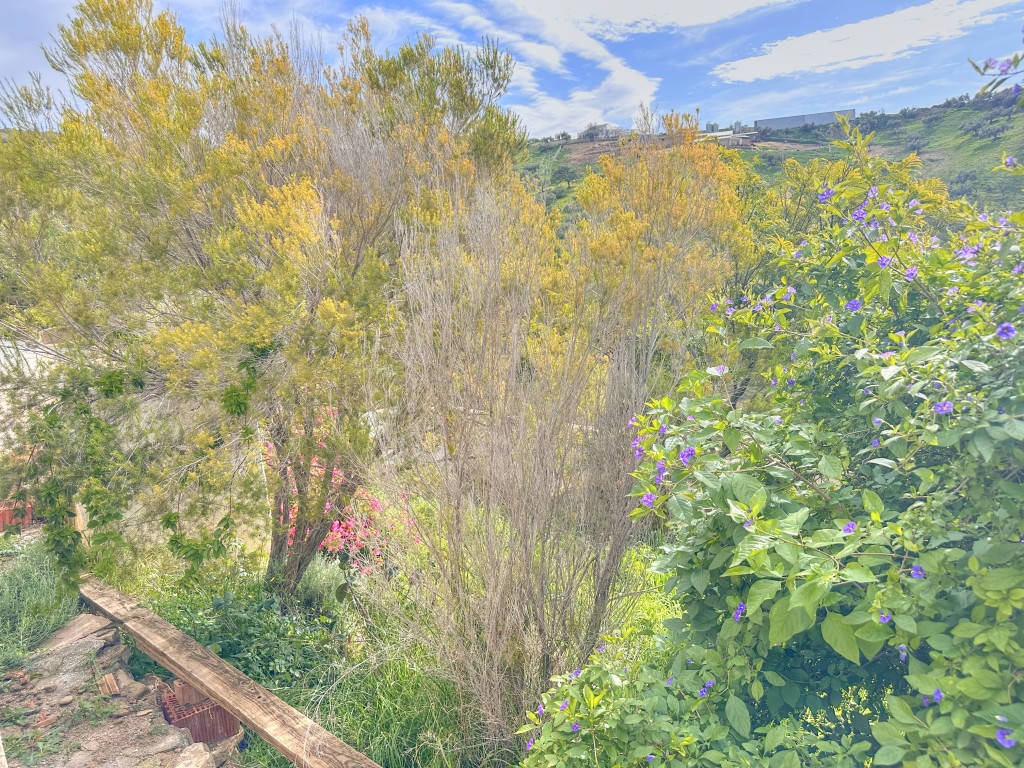 Landhuis Villanueva de la Concepción € 325.000,-