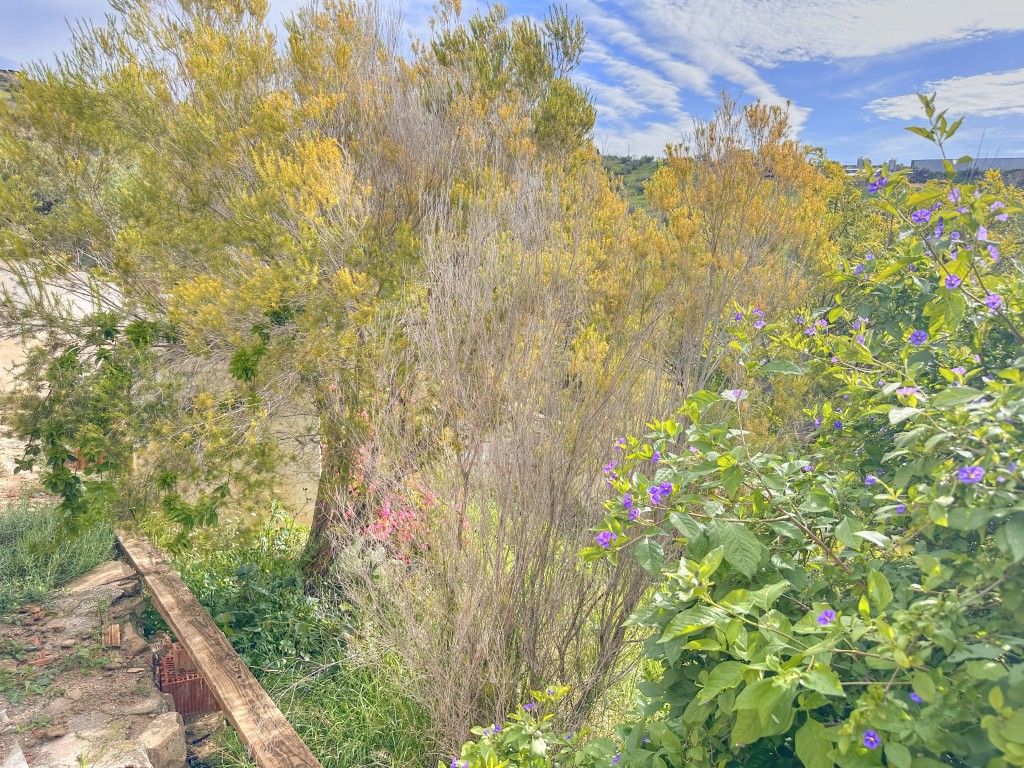Landhuis Villanueva de la Concepción € 325.000,-