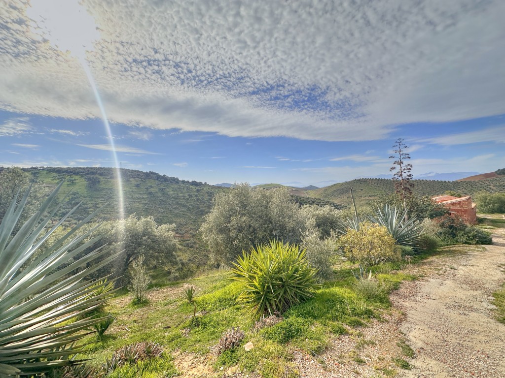 Landhuis Villanueva de la Concepción € 325.000,-