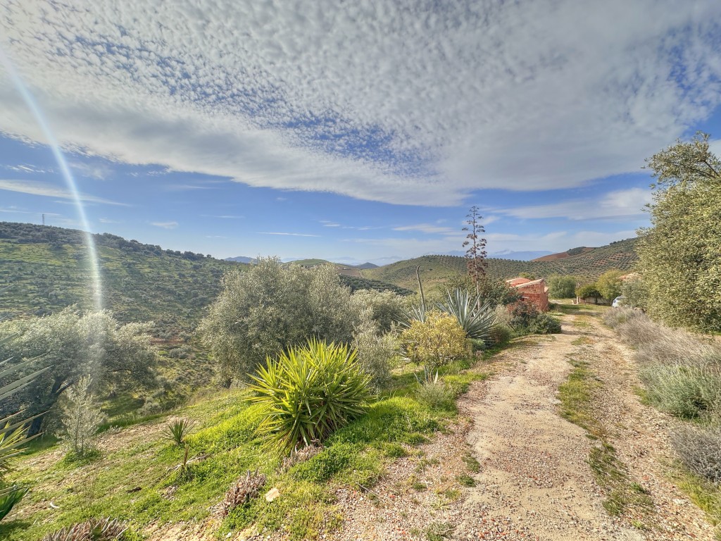 Landhuis Villanueva de la Concepción € 325.000,-