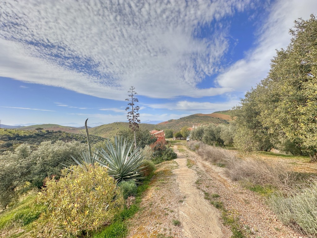 Landhuis Villanueva de la Concepción € 325.000,-
