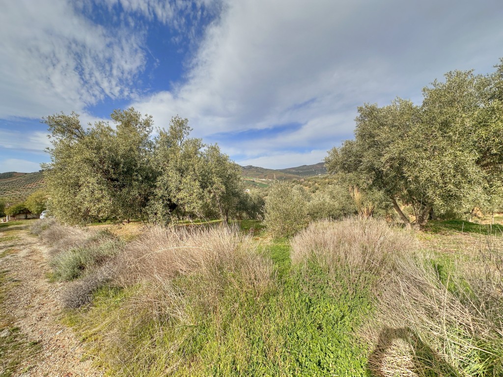 Landhuis Villanueva de la Concepción € 325.000,-