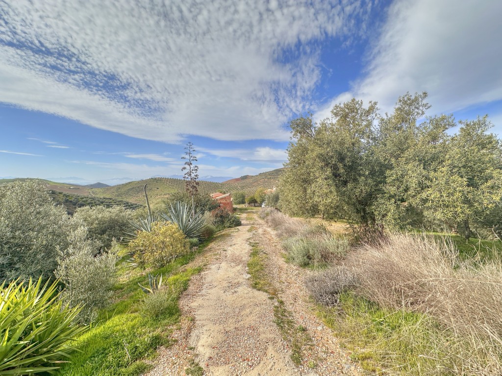 Landhuis Villanueva de la Concepción € 325.000,-