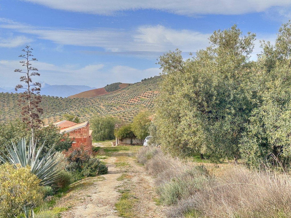 Landhuis Villanueva de la Concepción € 325.000,-