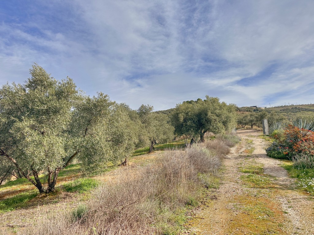 Landhuis Villanueva de la Concepción € 325.000,-