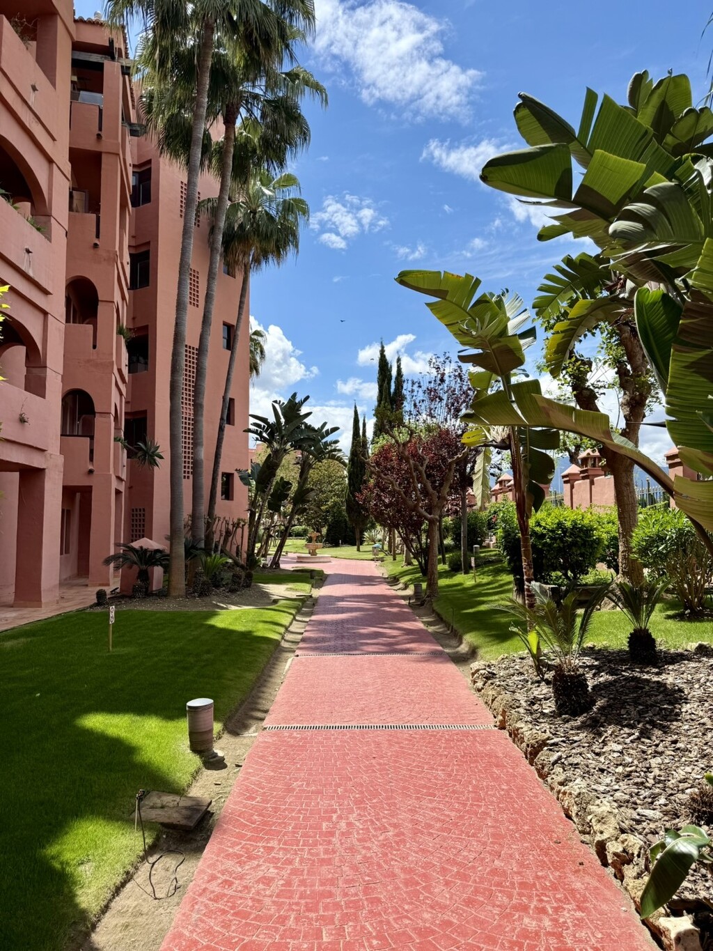 286435.jpg