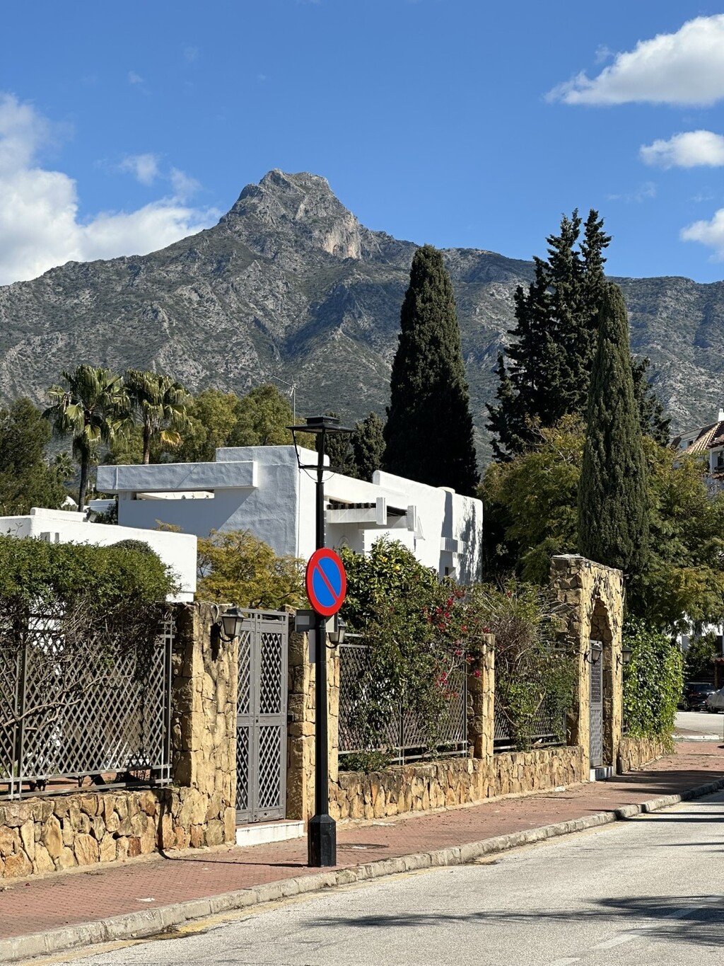 257655.jpg