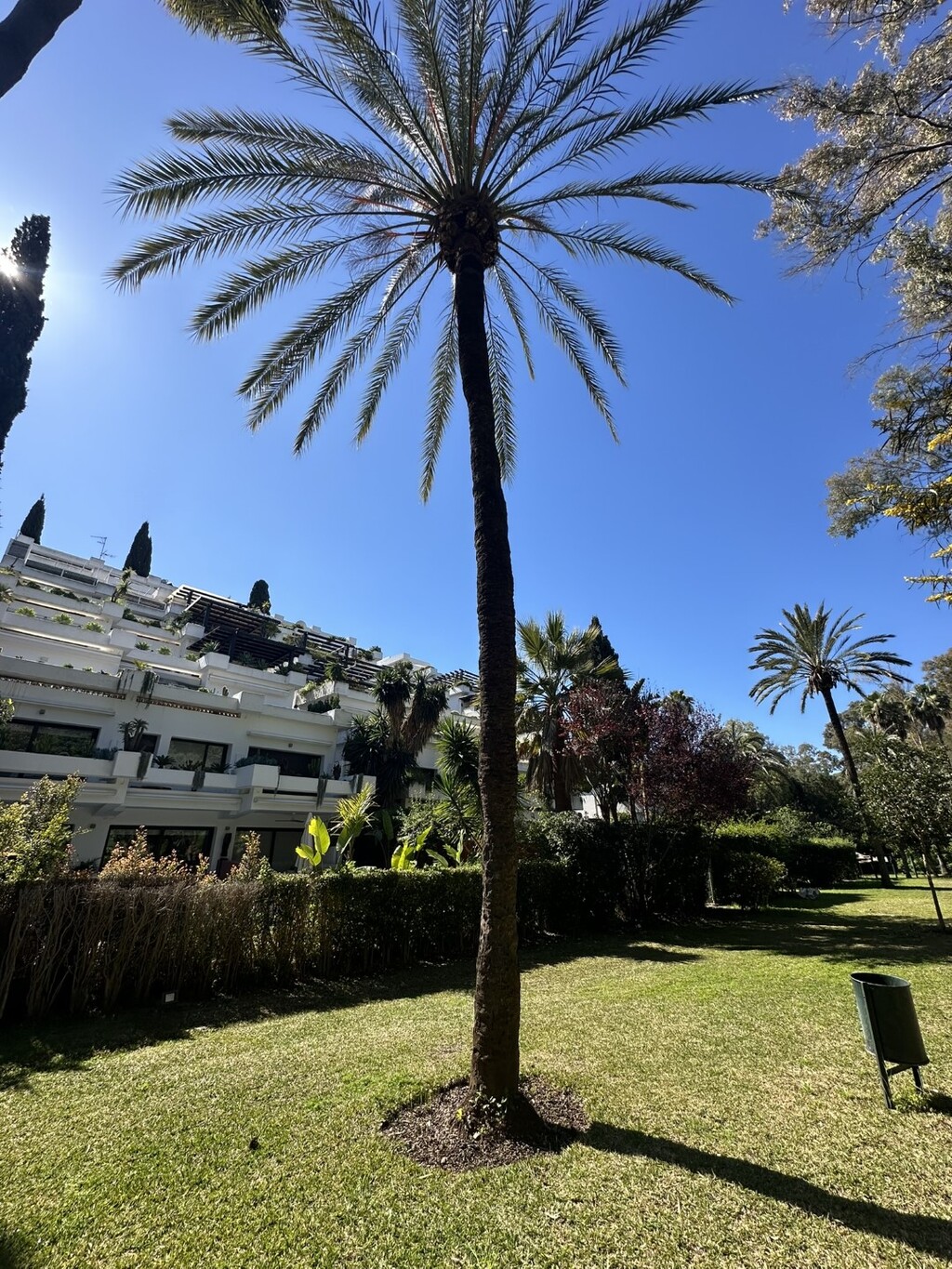 257687.jpg