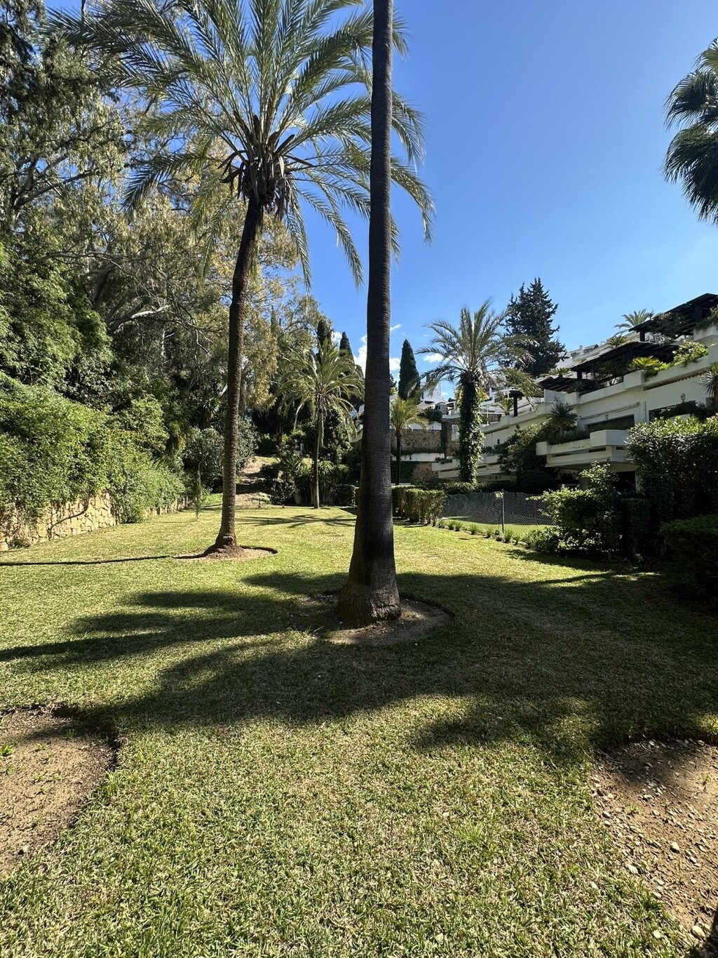 257690.jpg