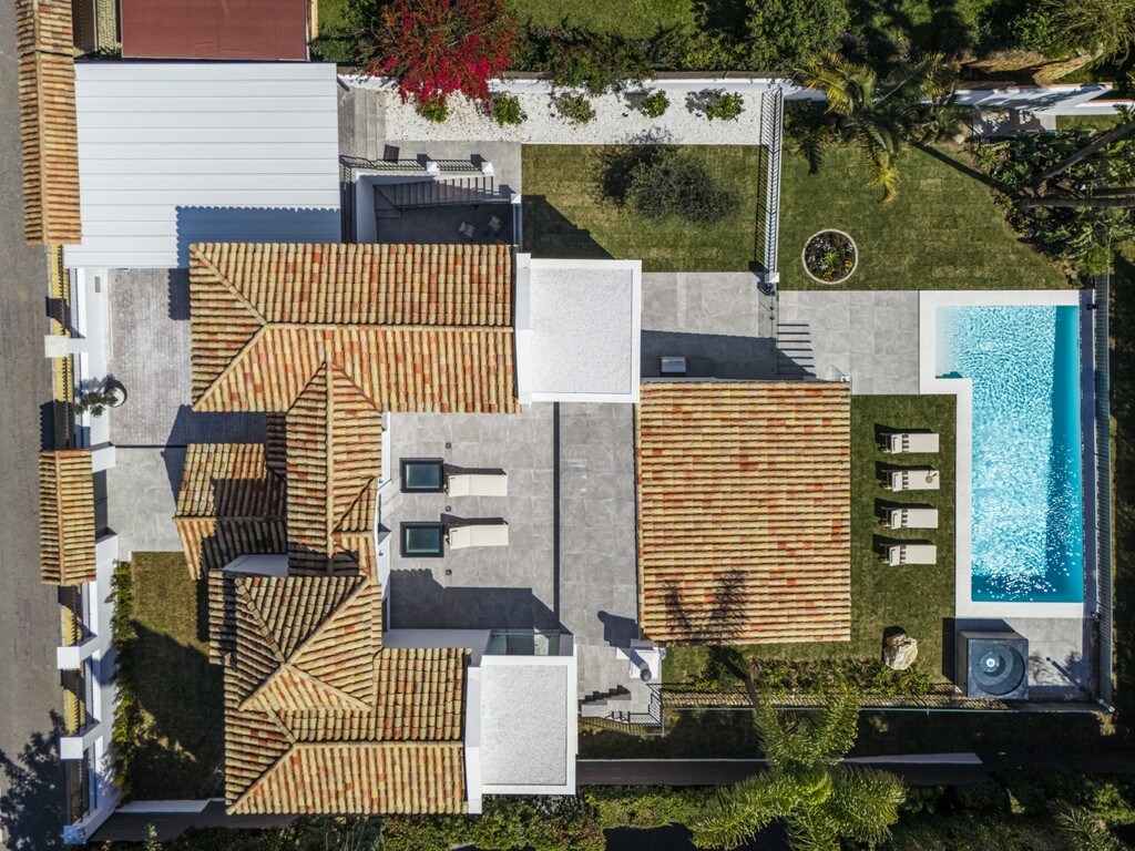 287036.jpg