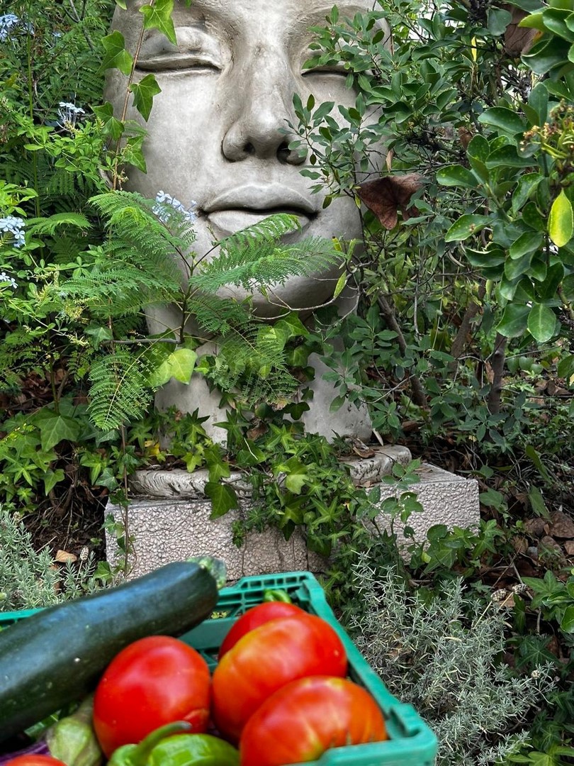 274525.jpg