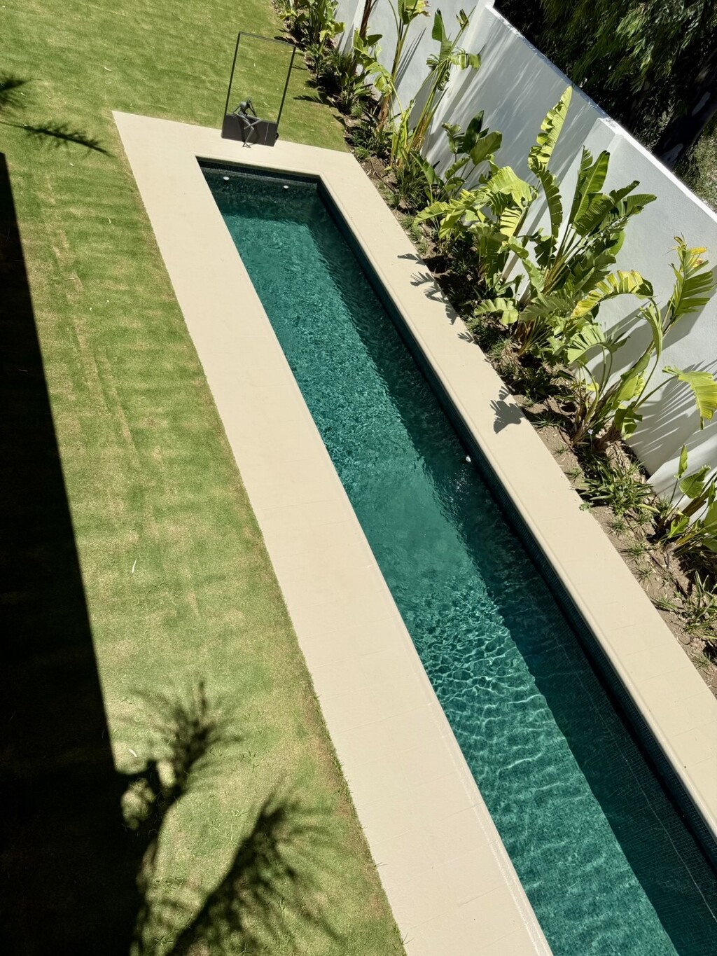 295412.jpg