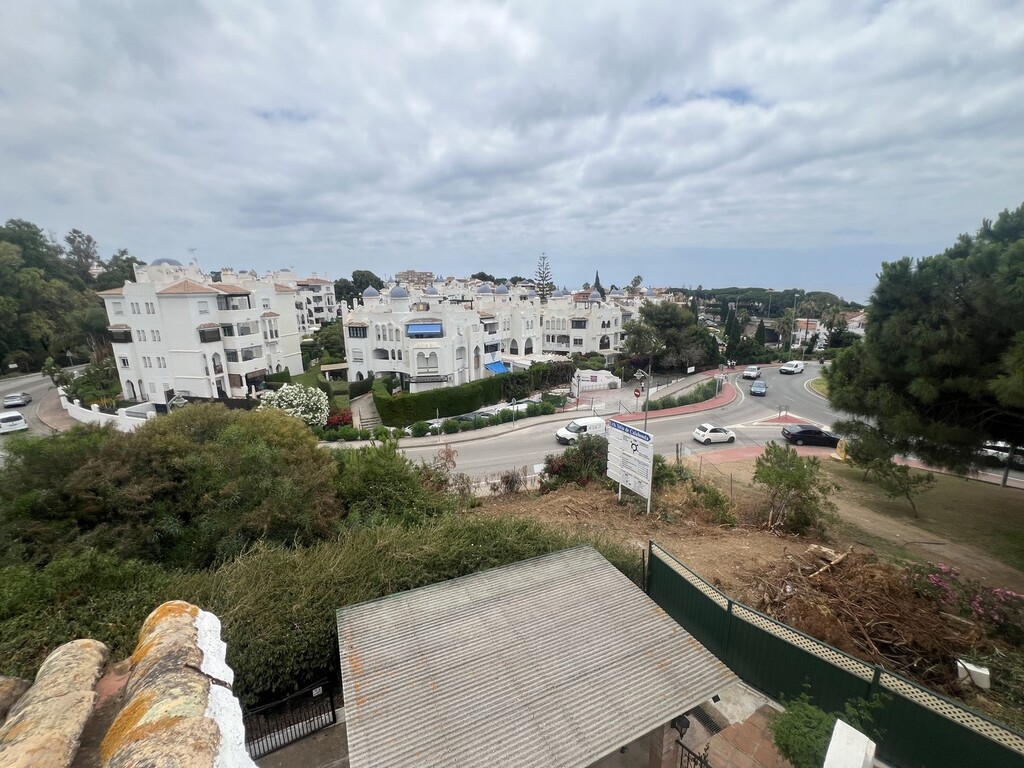 303963.jpg