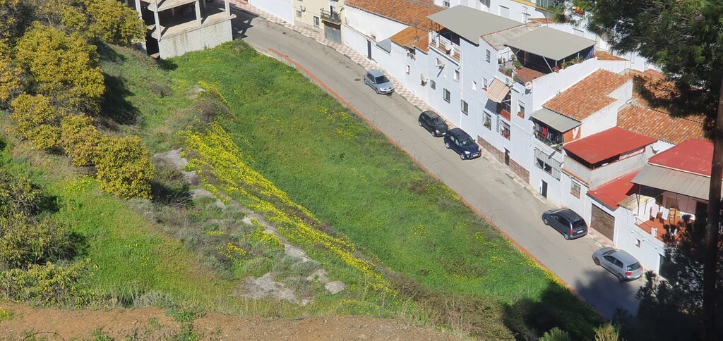 Building Plot Benamocarra € 600.000,-
