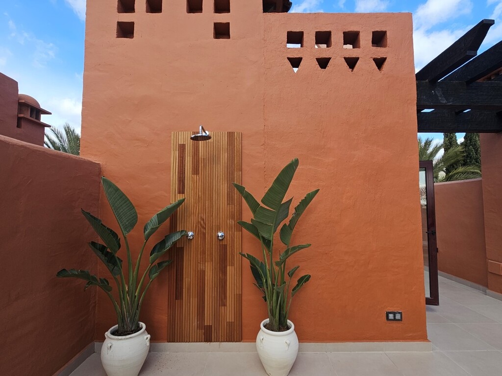 303267.jpg